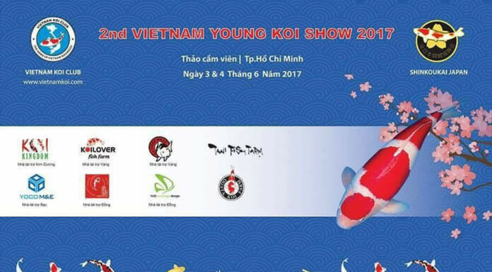 2017 All Vietnam Young Koi Show