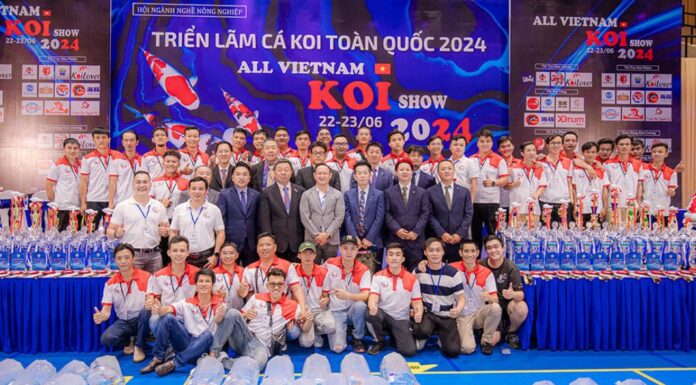 2024 All Vietnam Koi Show 2024 All Vietnam Koi Show